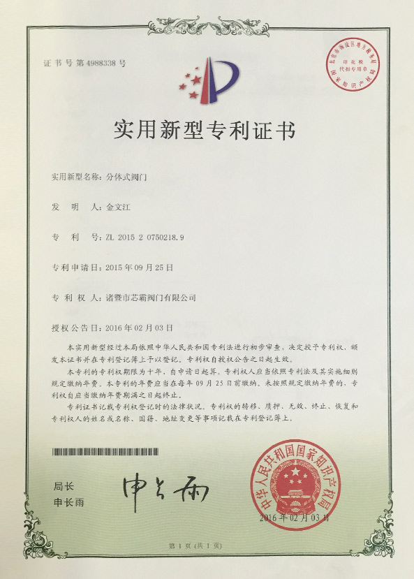 Patent
